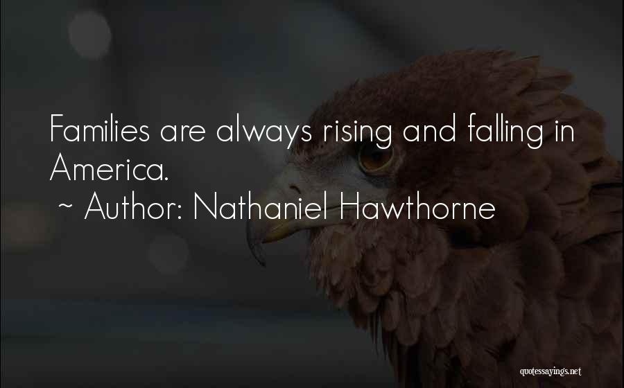 Rising And Falling Quotes By Nathaniel Hawthorne