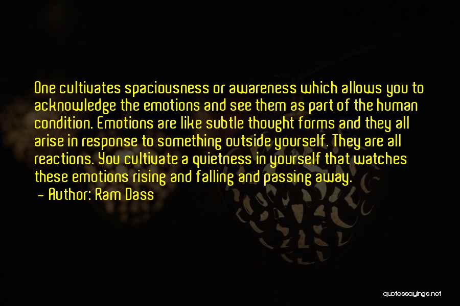 Rising And Falling Quotes By Ram Dass