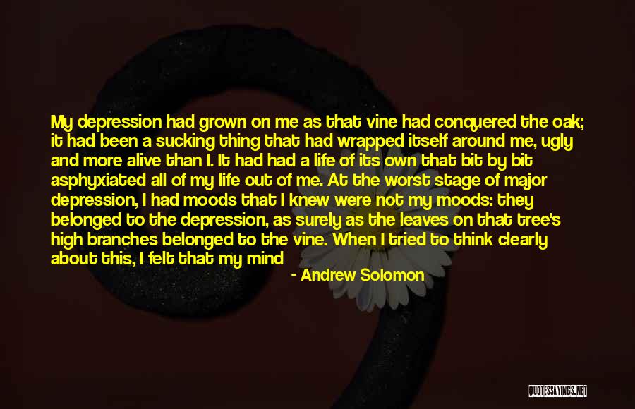 Rising From Depression Quotes By Andrew Solomon Rising From Depression Quotes By Andrew Solomon