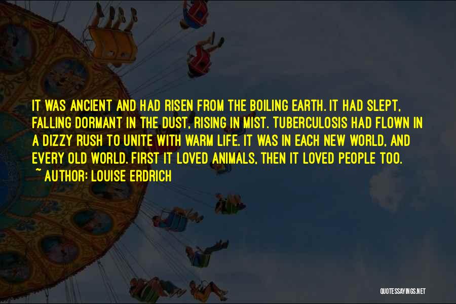 Rising From Falling Quotes By Louise Erdrich