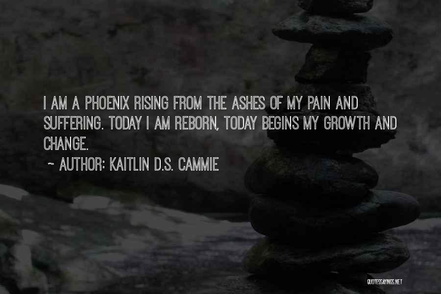 Rising From The Ashes Phoenix Quotes By Kaitlin D.S. Cammie