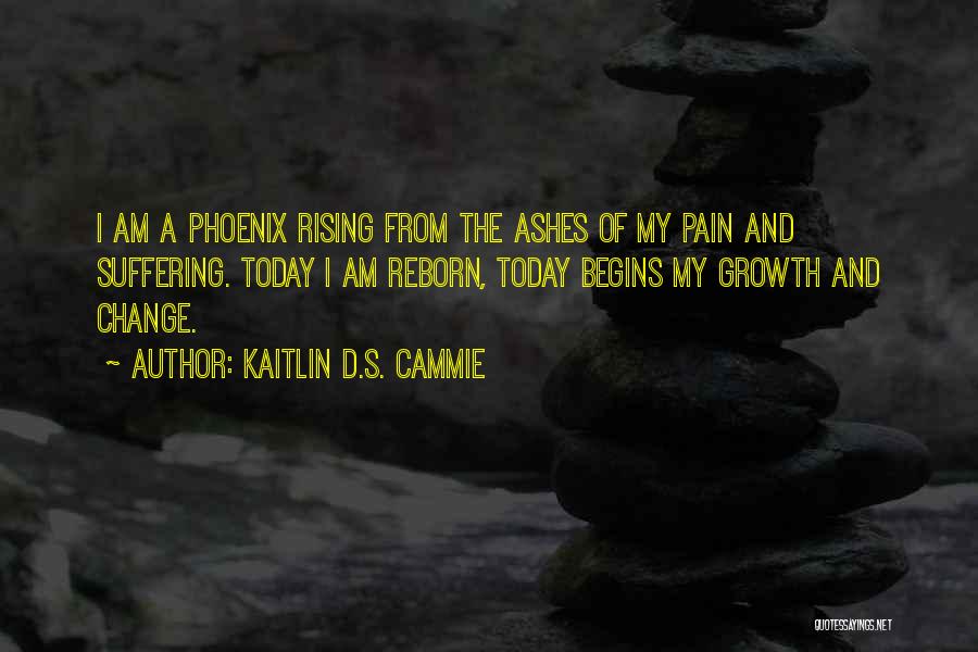 Rising From The Ashes Quotes By Kaitlin D.S. Cammie