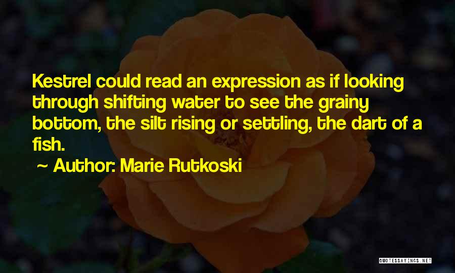 Rising From The Bottom Quotes By Marie Rutkoski