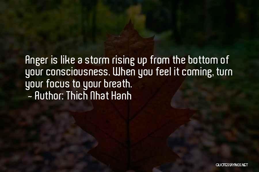 Rising From The Bottom Quotes By Thich Nhat Hanh