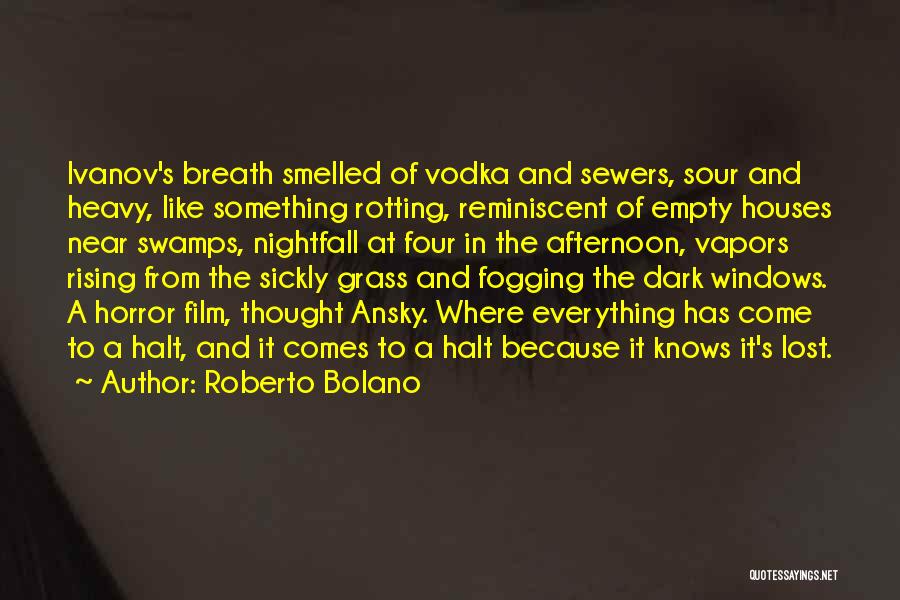 Rising From The Dark Quotes By Roberto Bolano