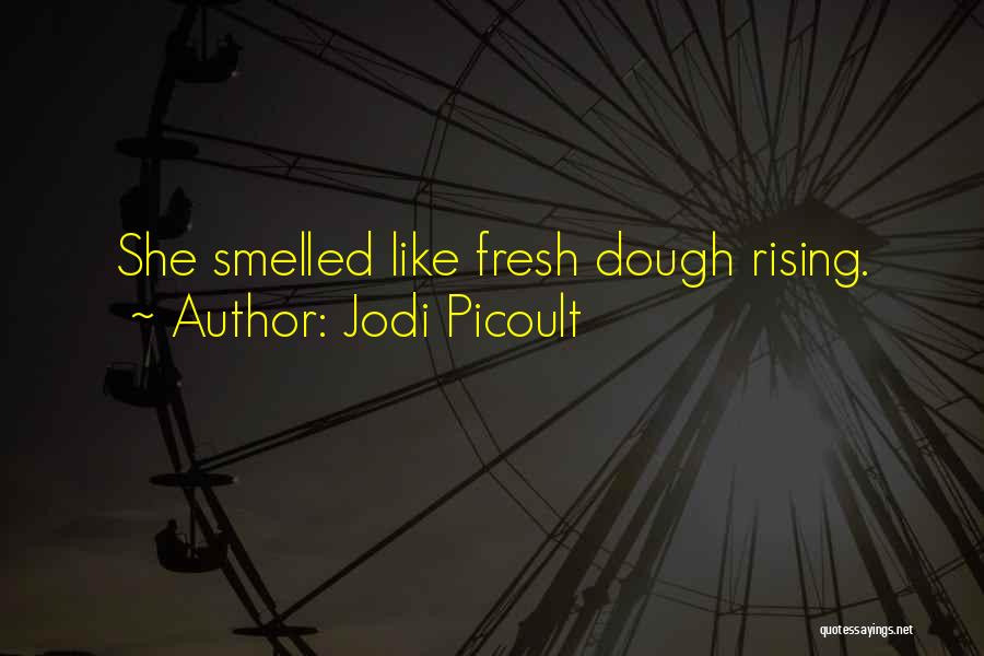 Rising Quotes By Jodi Picoult