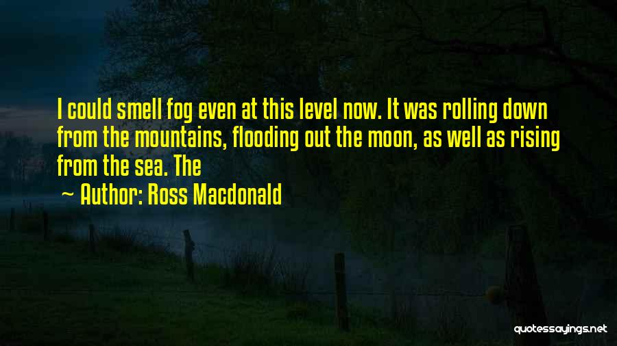 Rising Sea Level Quotes By Ross Macdonald