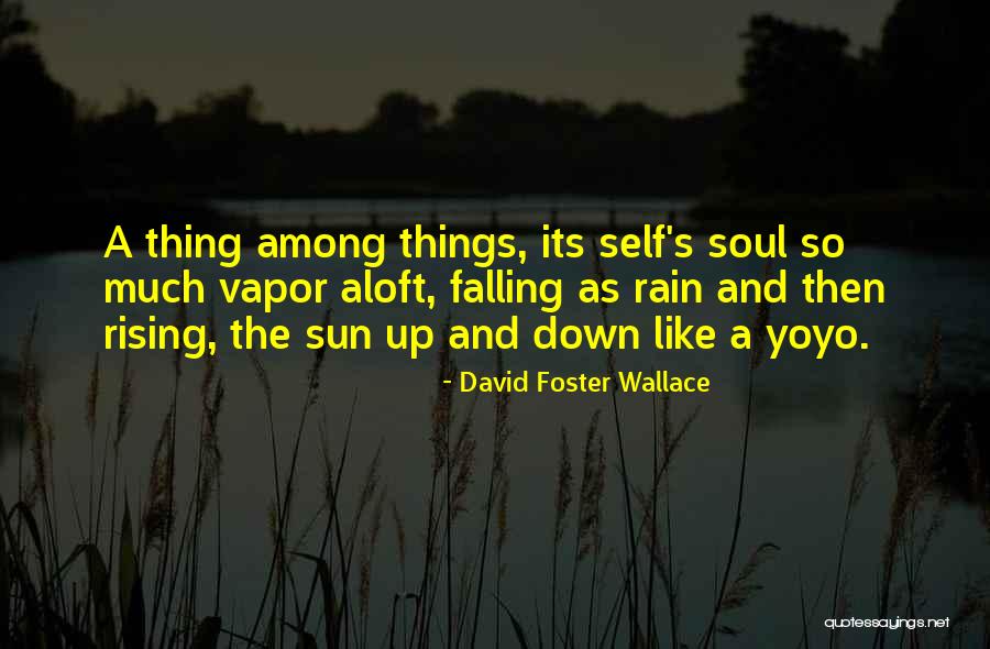 Rising Sun Quotes By David Foster Wallace Rising Sun Quotes By David Foster Wallace