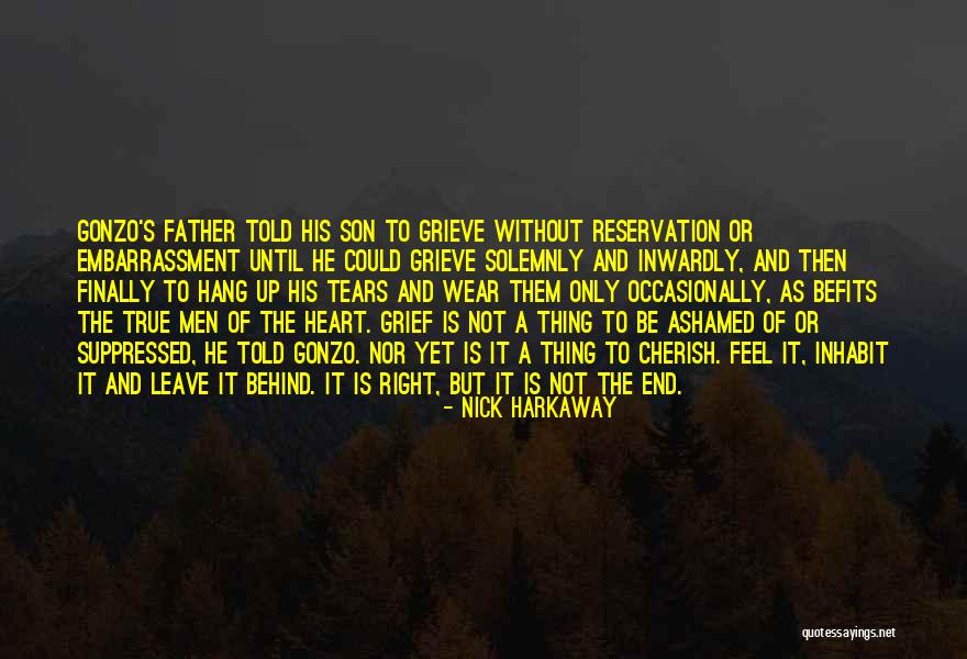 Rising To A Challenge Quotes By Nick Harkaway
