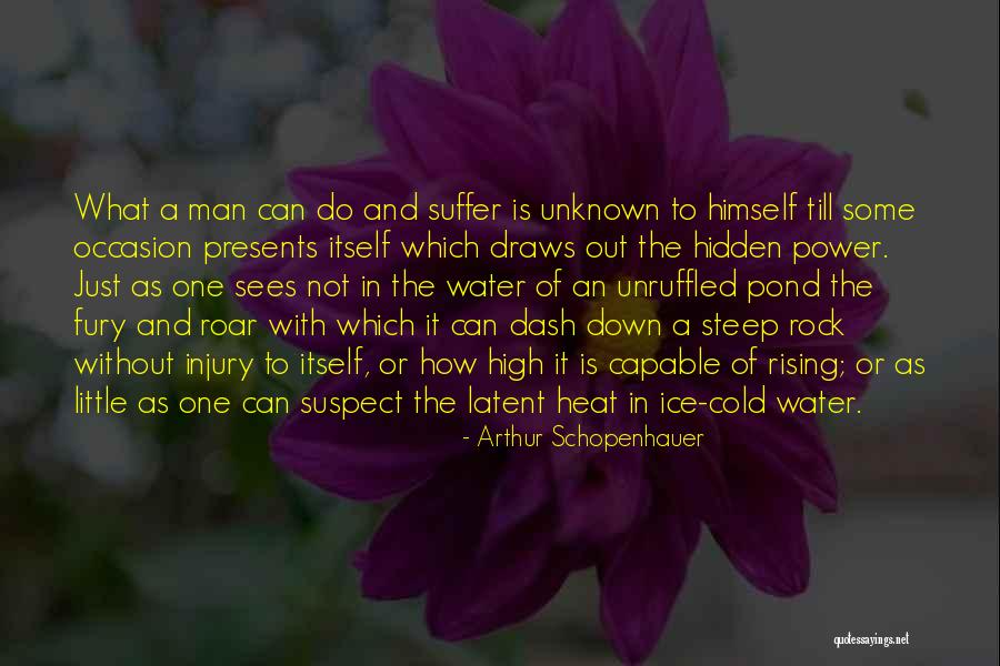 Rising To Power Quotes By Arthur Schopenhauer Rising To Power Quotes By Arthur Schopenhauer
