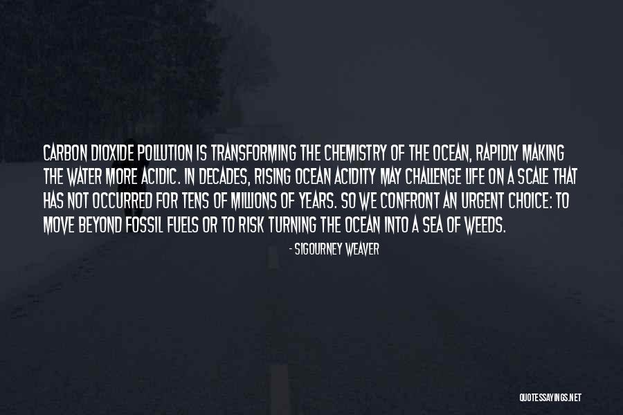 Rising To The Challenge Quotes By Sigourney Weaver Rising To The Challenge Quotes By Sigourney Weaver