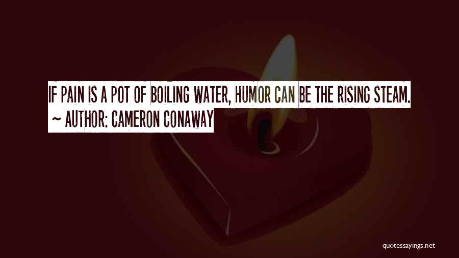 Rising Up From Pain Quotes By Cameron Conaway