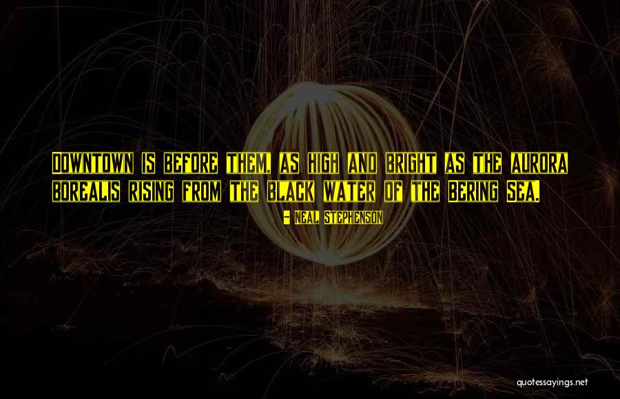 Rising Water Quotes By Neal Stephenson Rising Water Quotes By Neal Stephenson