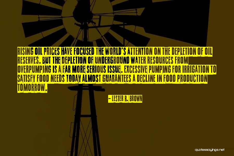 Rising World Quotes By Lester R. Brown Rising World Quotes By Lester R. Brown