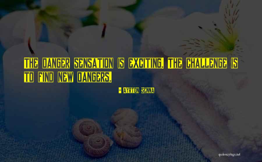 Risk And Dating Quotes By Ayrton Senna Risk And Dating Quotes By Ayrton Senna