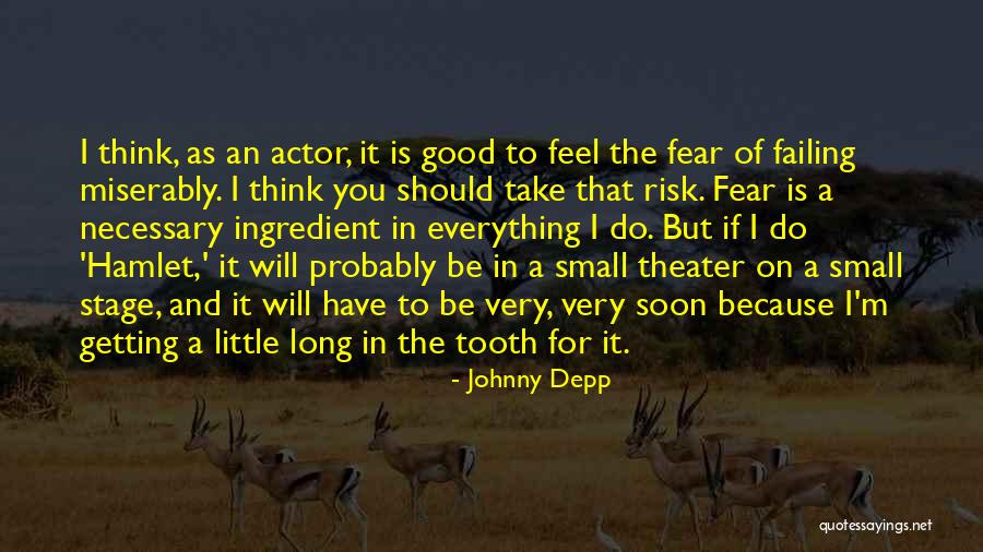 Risk And Fear Quotes By Johnny Depp Risk And Fear Quotes By Johnny Depp
