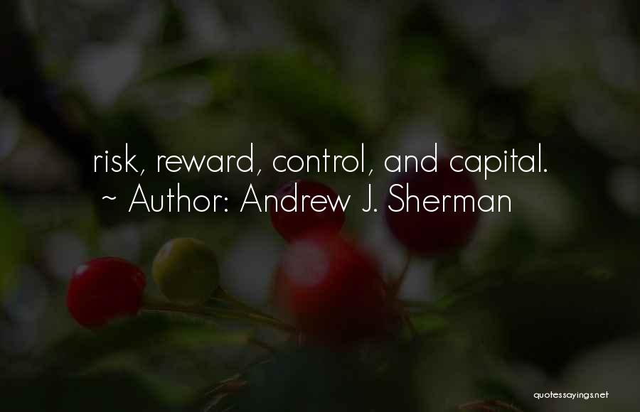 Risk And Reward Quotes By Andrew J. Sherman