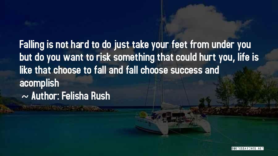Risk And Success Quotes By Felisha Rush