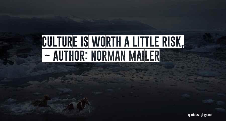 Risk Culture Quotes By Norman Mailer