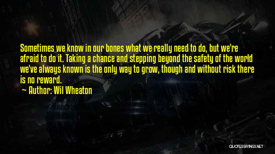 Risk Inspirational Quotes By Wil Wheaton