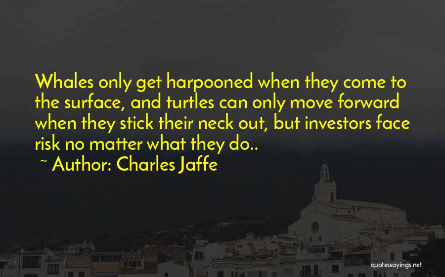 Risk Is My Business Quotes By Charles Jaffe