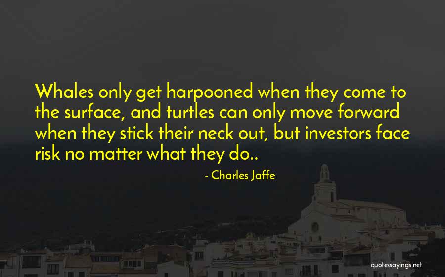 Risk Is My Business Quotes By Charles Jaffe