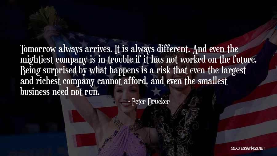 Risk Is My Business Quotes By Peter Drucker