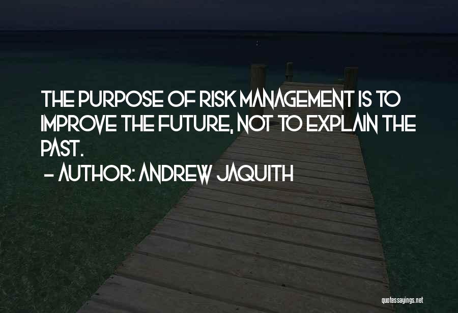 Risk Management Quotes By Andrew Jaquith