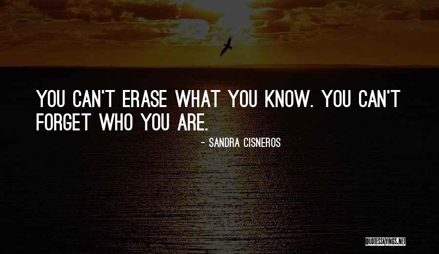 Risk Of Bias Ive And Outcome Quotes By Sandra Cisneros Risk Of Bias Ive And Outcome Quotes By Sandra Cisneros
