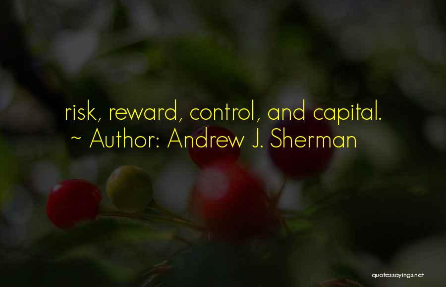 Risk Reward Quotes By Andrew J. Sherman