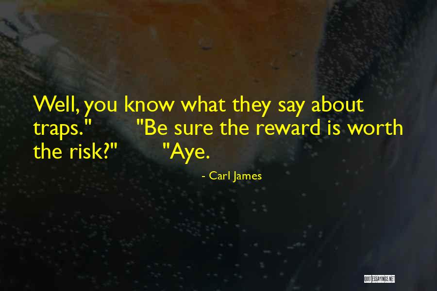 Risk Reward Quotes By Carl James