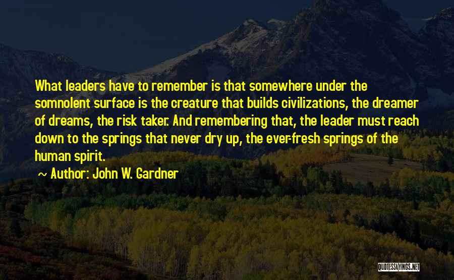 Risk Taker Quotes By John W. Gardner