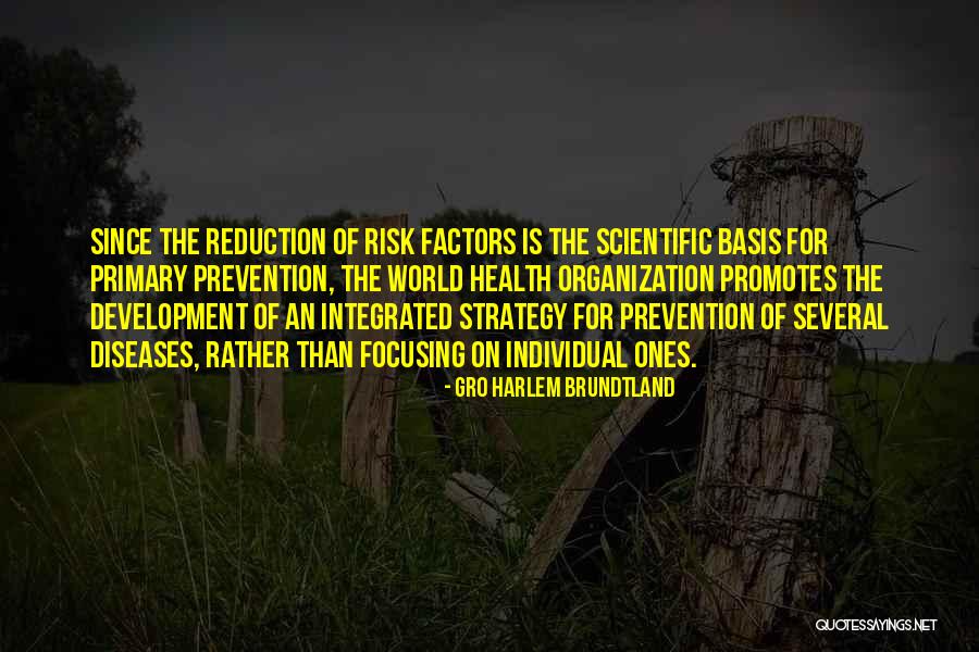 Risk The World Quotes By Gro Harlem Brundtland