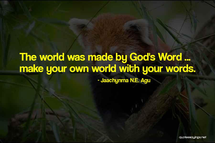 Risk The World Quotes By Jaachynma N.E. Agu