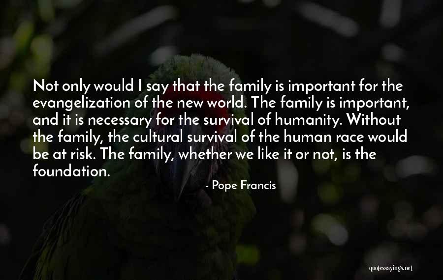 Risk The World Quotes By Pope Francis