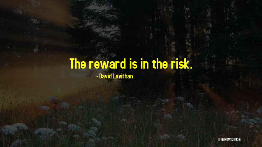 Risk Vs Reward Quotes By David Levithan