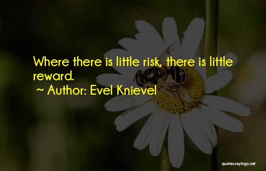 Risk Vs Reward Quotes By Evel Knievel