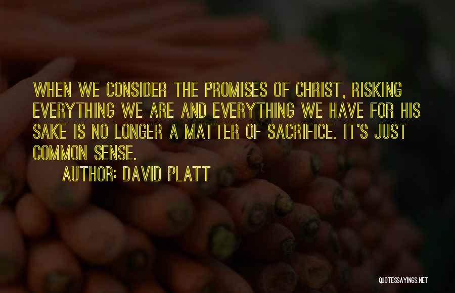 Risking Quotes By David Platt