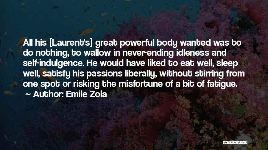 Risking Quotes By Emile Zola