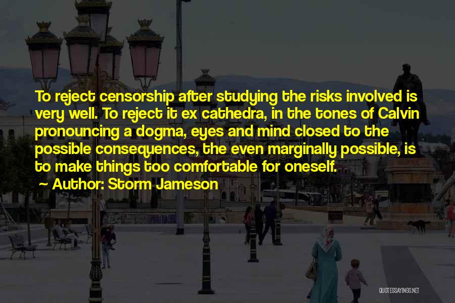 Risks And Consequences Quotes By Storm Jameson