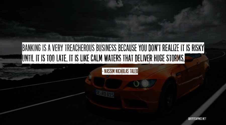 Risky Business Quotes By Nassim Nicholas Taleb Risky Business Quotes By Nassim Nicholas Taleb