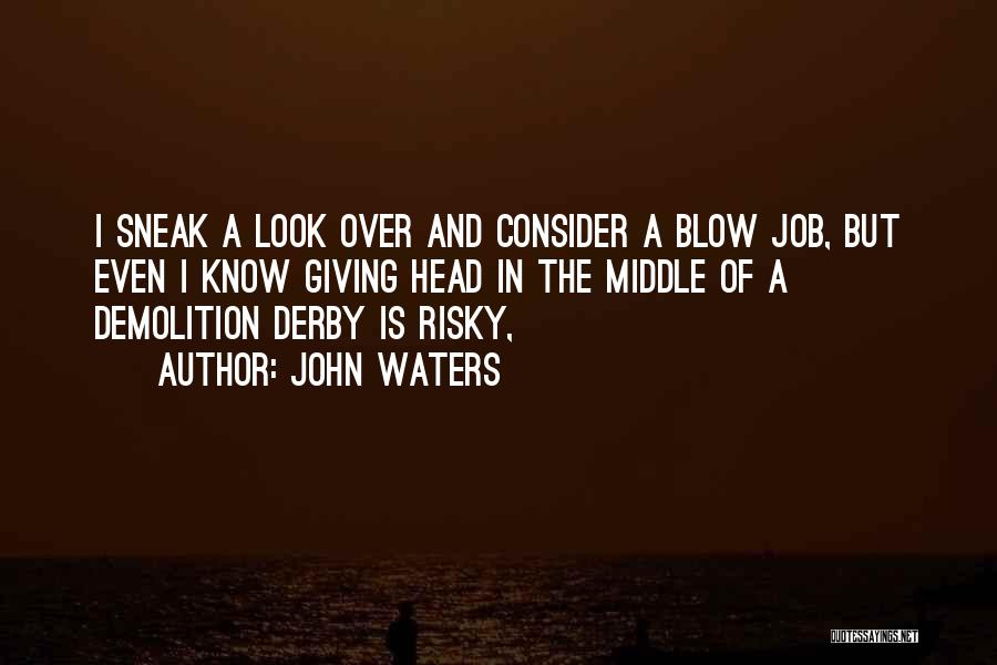 Risky Job Quotes By John Waters