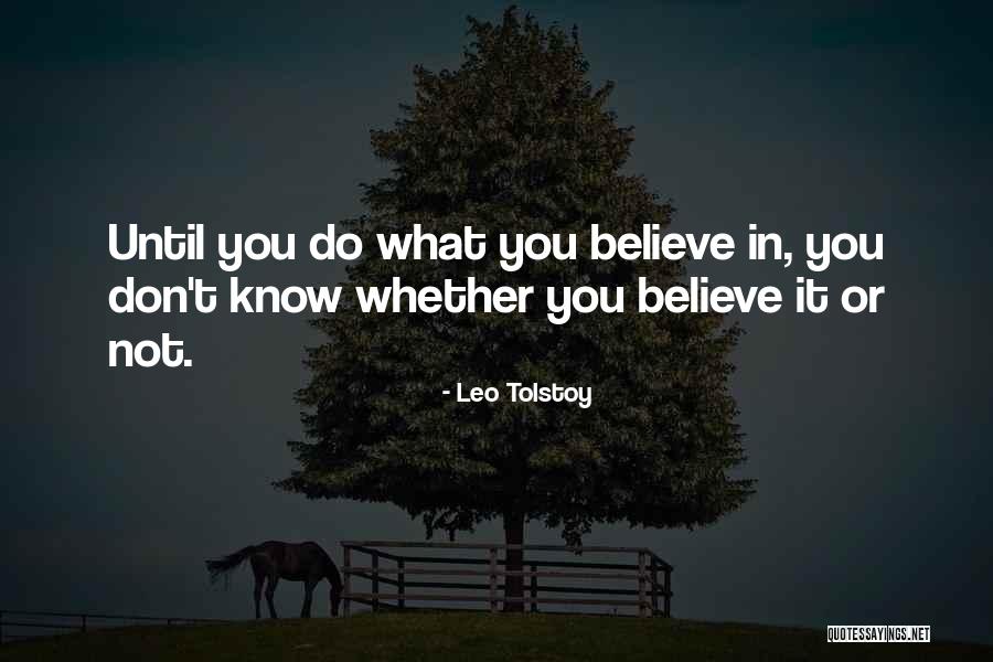 Risoluzione Video Quotes By Leo Tolstoy
