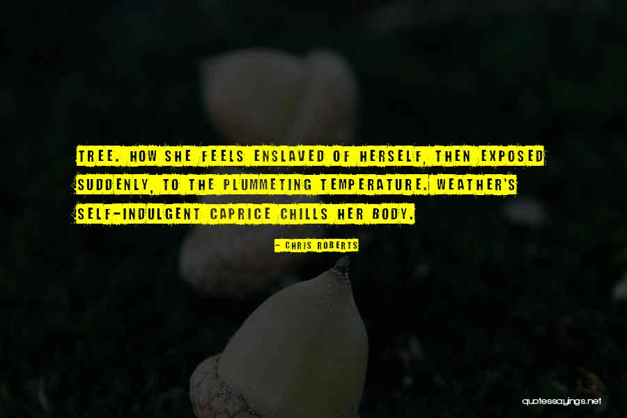 Risques Crossword Quotes By Chris Roberts Risques Crossword Quotes By Chris Roberts