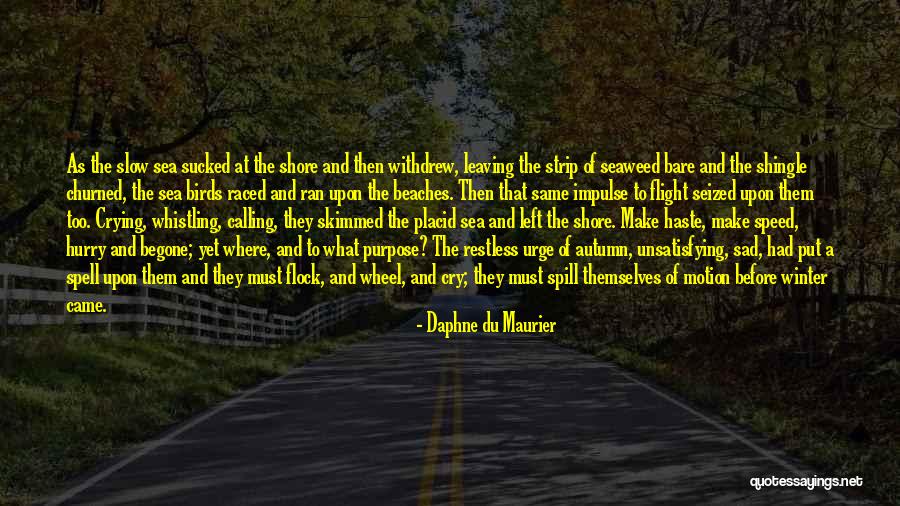 Rissington Quotes By Daphne Du Maurier Rissington Quotes By Daphne Du Maurier