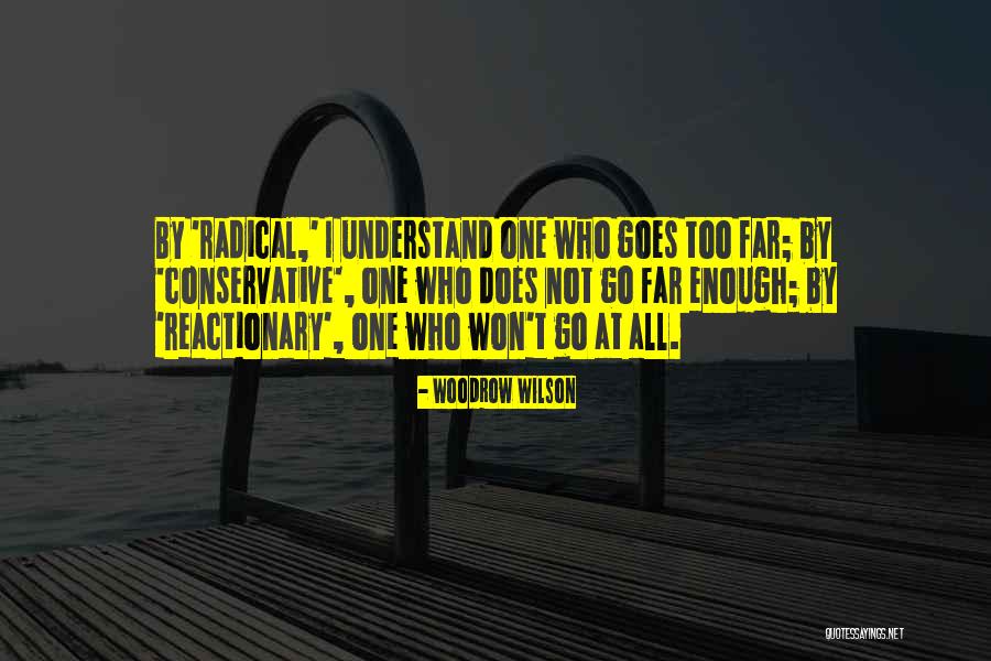 Ristourne Rabais Quotes By Woodrow Wilson