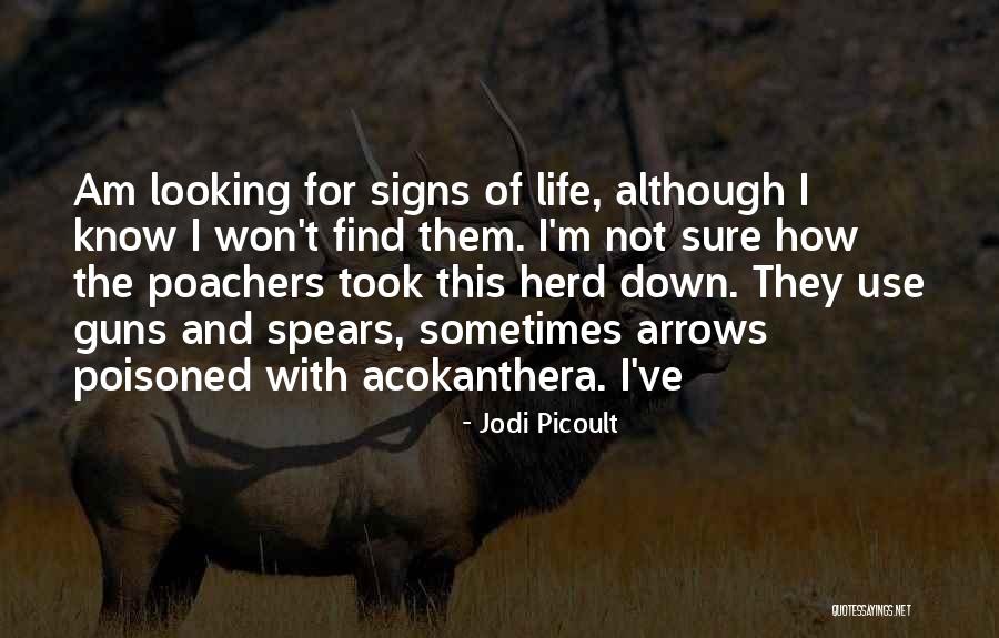 Rita F Pierson Quotes By Jodi Picoult Rita F Pierson Quotes By Jodi Picoult