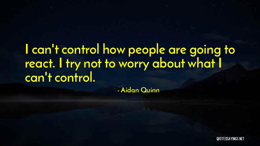 Ritchies Barneveld Quotes By Aidan Quinn Ritchies Barneveld Quotes By Aidan Quinn