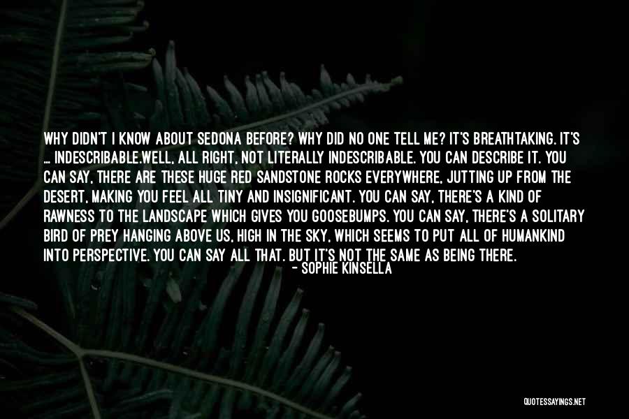 Ritenour Quotes By Sophie Kinsella Ritenour Quotes By Sophie Kinsella