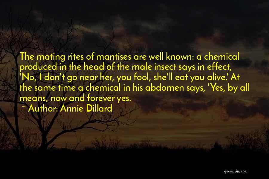 Rites Quotes By Annie Dillard